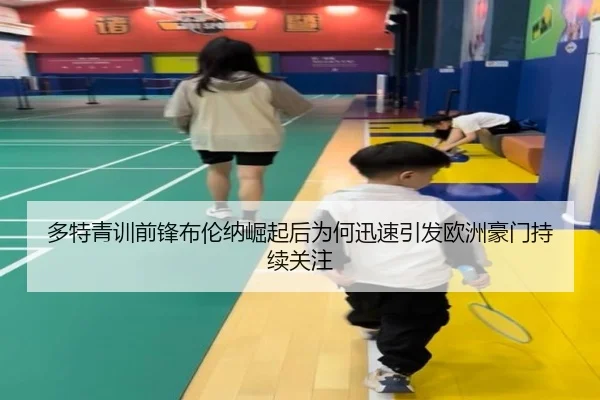 多特青训前锋布伦纳崛起后为何迅速引发欧洲豪门持续关注 | kaiyun